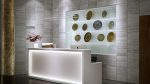 Lumines profile type Y lacquered white, 1 m